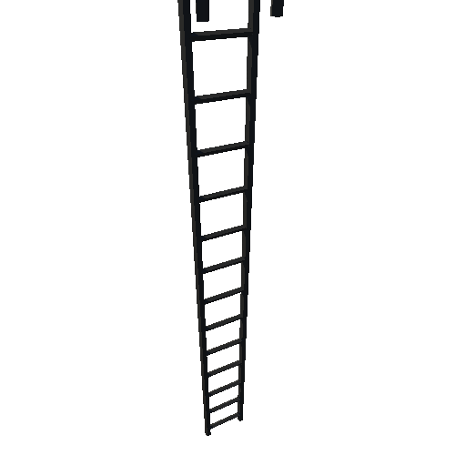 Long Ladder_1